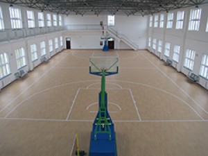 籃球場地膠