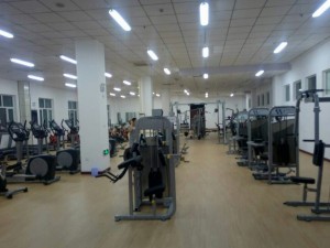 石河子室內(nèi)健身器材